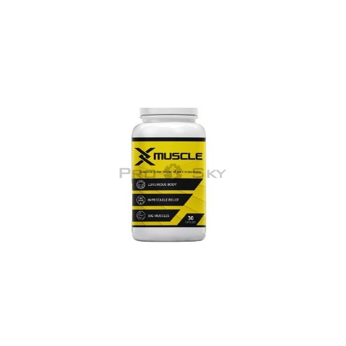 ✩ X-Muscle - for muscle building