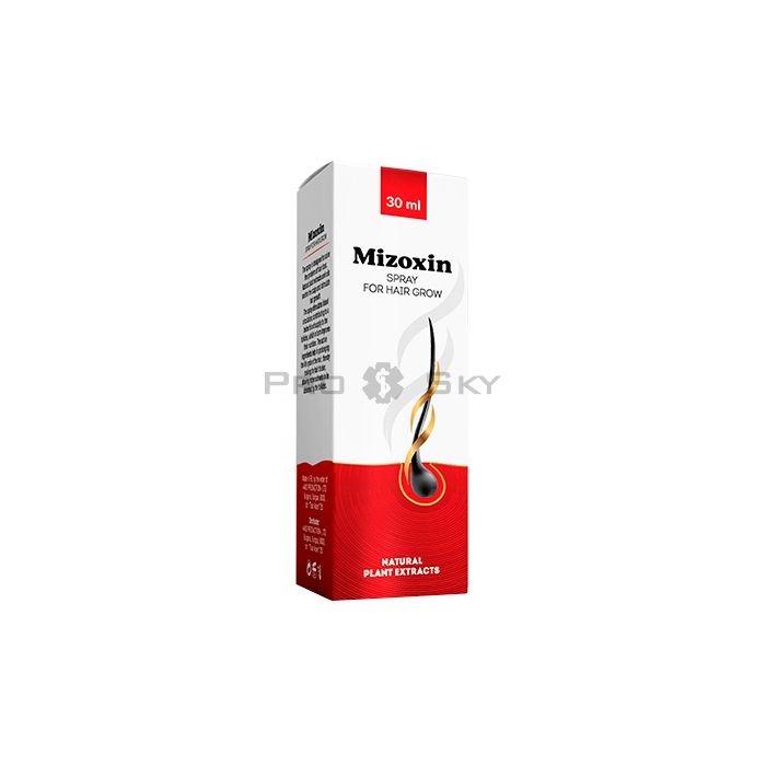 ✩ Mizoxin - produto para restauração capilar