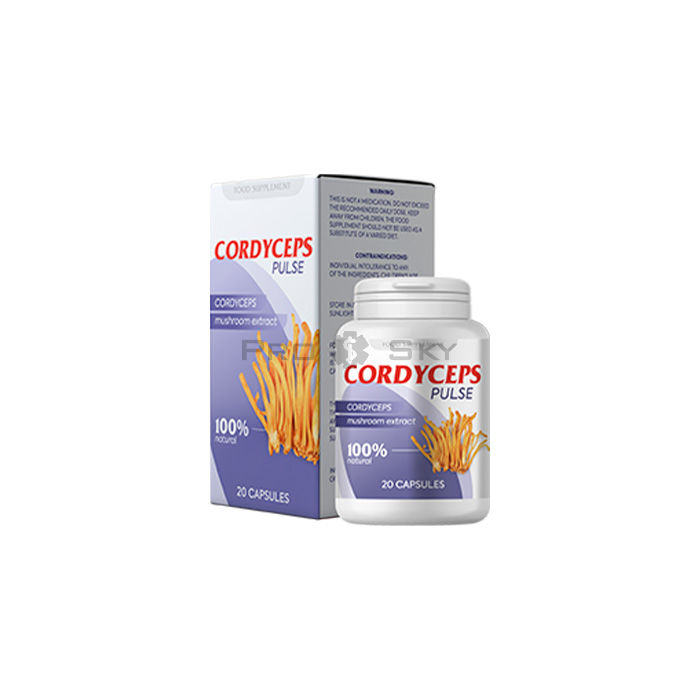 Cordyceps Pulse 